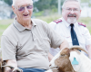 Goats and innovation in aged care
