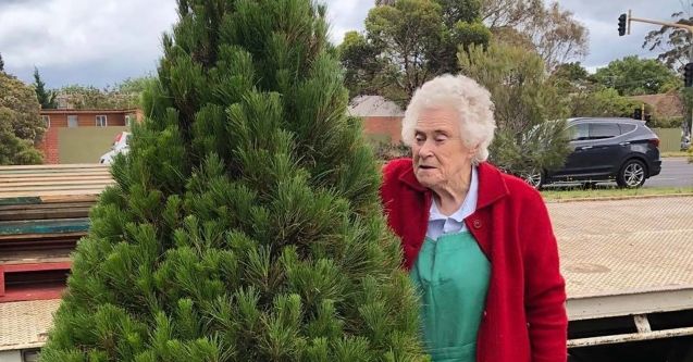 Celebrating the love and legacy of the 'Christmas Tree lady'